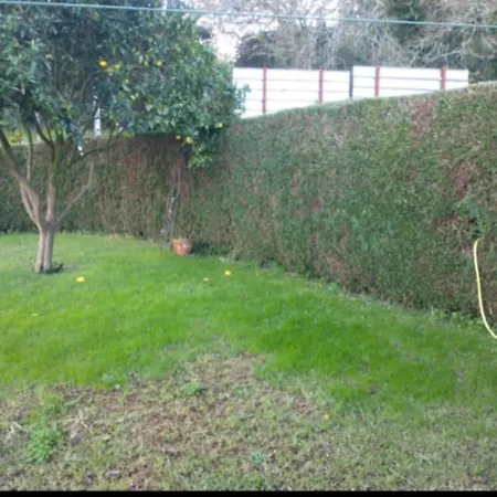 A Casina Fail Nyaraló *